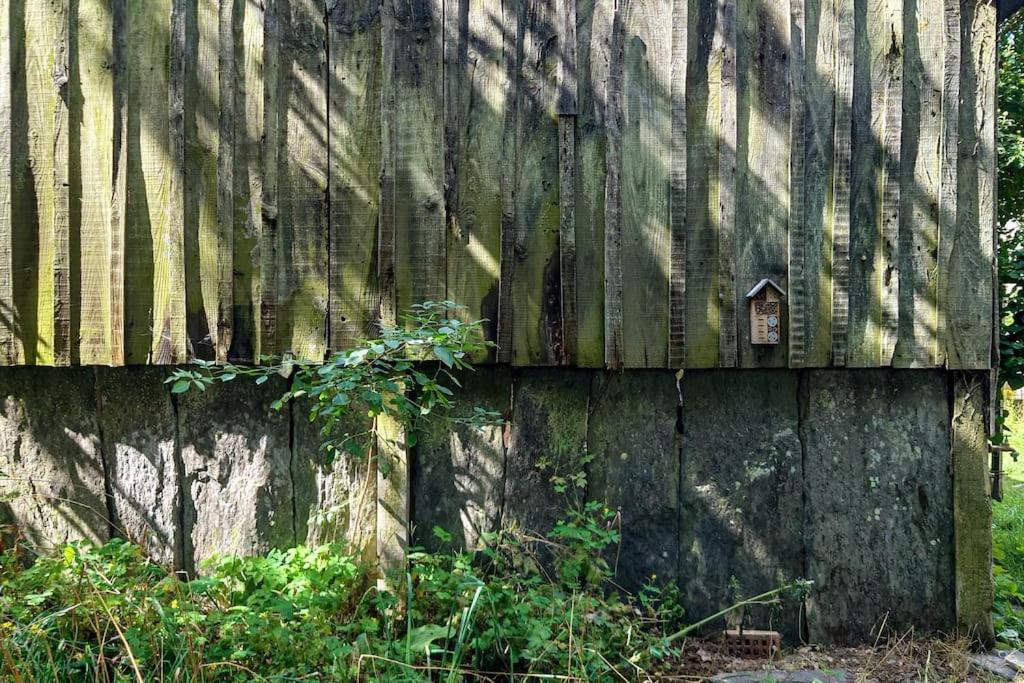 Longere Tinyhouse Avec Son Jardin-Foret Saint-Just  Exterior foto